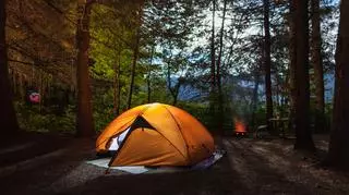 Namiot rozłożony w lesie