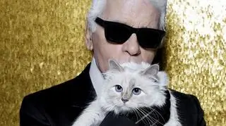 Kotka-milionerka. Co się stanie z kotką Karla Lagerfelda po jego śmierci?