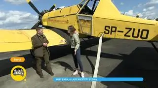 Pożary lasów. Kiedy zdarzają się najczęściej i jak ich uniknąć?