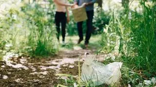 śmieci, las, sprzątanie