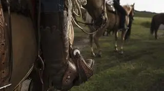 Zbliżenie na strzemiona jeździeckie. Jazda konna. 