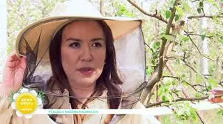 Poznaj rodzinę, która od pokoleń hoduje pszczoły. "Pszczoła uczy spokoju i pokory"