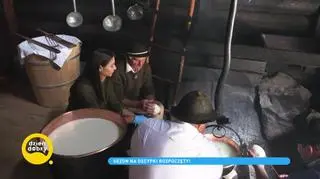 Jak się wyrabia góralskie oscypki?