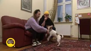 Prezka z pudełka - psia influencerka szuka domów tymczasowych