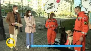 Międzynarodowy Dzień Psa Ratowniczego. Czy każdy pies może nim zostać?