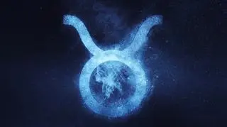 Znak Zodiaku - Byk