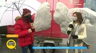 Sztuczne płuca, które sprawdzają jakość powietrza. "Chcemy uzmysłowić ludziom, jak smog skraca nam życie"