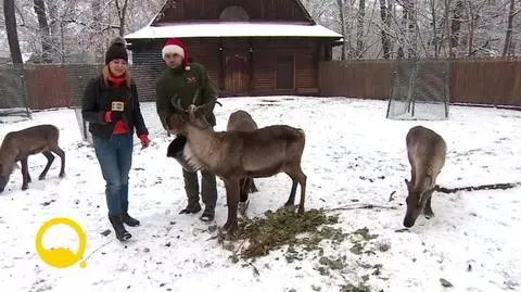 DD_20211210_Live_REP