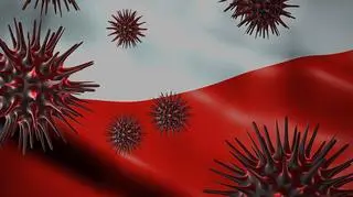 Koronawirus w Polsce 