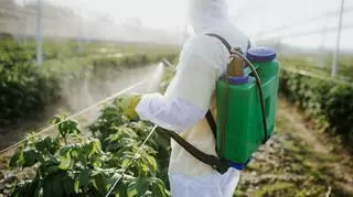 Gdzie znajdują się pestycydy i jak się ich pozbyć?
