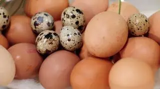 Ale jaja! W wielkanocnej kuchni Andrzeja Polana :)