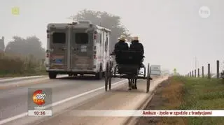 Kim są amisze? Ciekawostki, historia