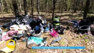 Polskie lasy wciąż toną w śmieciach. Nadleśnictwo Gdańsk znalazło na to sposób