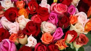 Sen o różach - czerwonych, białych, różowych. Co bukiet i płatki róż oznaczają w senniku?