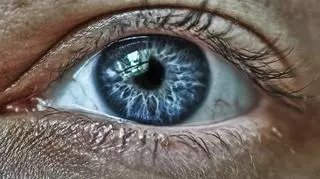 Niewidomy pacjent odzyskał wzrok dzięki wodorostom. Na czym polegał nowatorski zabieg?