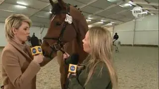 Dorota Gardias i zakochany w niej koń :)