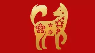 Chińskie znaki zodiaku - pies