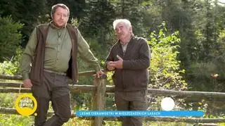 A może by tak w Bieszczady? Leśnicy wraz z dziećmi odkrywają ciekawostki na szlakach