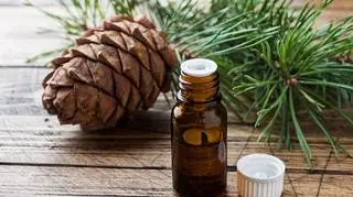 Cedr himalajski i właściwości olejku