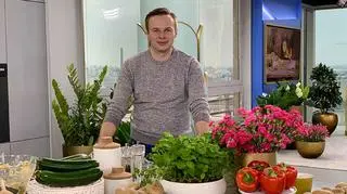 Dania z ziemniakami - przepisy i składniki. Jak przygotować placki rosti, gnocchi i krem z ziemniaków?