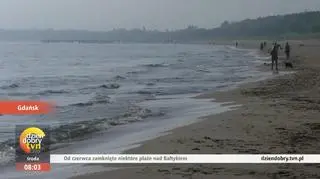 Plaża w Jelitkowie w Gdańsku