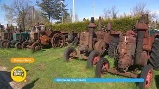 Rodzina pasja do traktorów. Jacek Hornik kolekcjonuje i remontuje zabytkowe traktory
