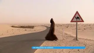 Tunezja i największy w Afryce festiwal muzyki elektronicznej. Muzyka gra nieprzerwanie przez 48 godzin