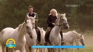 Podlasie inaczej. Michał Cessanis pokazał, jak aktywnie spędzić czas w malowniczym regionie