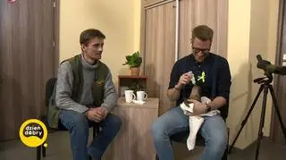 Mały leniwiec z wrocławskiego zoo odrzucony przez mamę