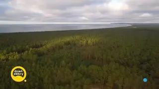 Polscy pogromcy duchów 