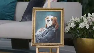 Maria Banaś tworzy królewskie portrety zwierząt. Psy i koty w niecodziennym wydaniu