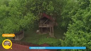 Rodzina zbudowała całoroczny dom na drzewie. "To realizacja dziecięcego marzenia"