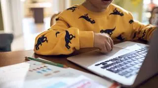 Pedofilia w Internecie