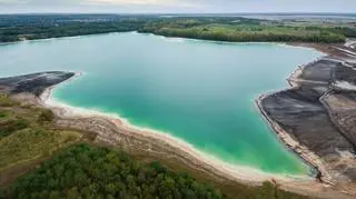 dzika_mrowka/Getty Images