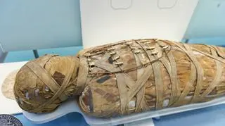 Pierwsza egipska mumia ciężarnej kobiety znajduje się w Muzeum Narodowym w Warszawie