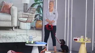 Jak zadbać o emocje czworonogów? Behawiorystka radzi, jak zadbać o psa