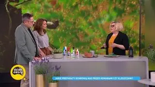 Jak uchronić się przed owadami? Oto niezawodne sposoby ekspertki