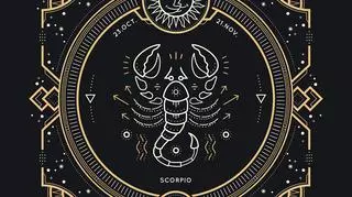 Skorpion - charakterystyka znaku i horoskop
