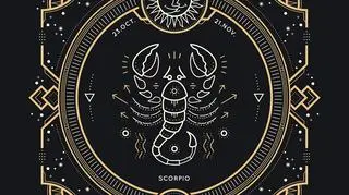 Znak zodiaku - skorpion 