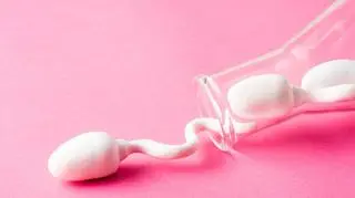 Model plemnika w szklanej probówce