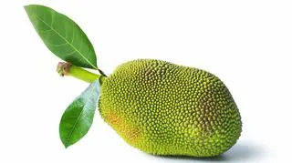 Chlebowiec – niezwykły owoc, który zaskakuje wyglądem i smakiem