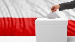 wybory głosowanie urna wyborcza karta do głosowania