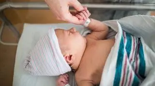  Purple Collar Pet Photography/Getty Images