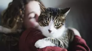 Kot–terapeuta, czyli co to jest felinoterapia? Kiedy i jak ją stosować?