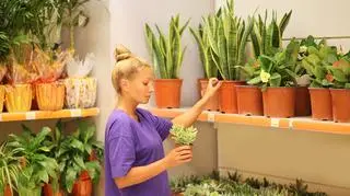 Kobieta w sklepie ogrodniczym 