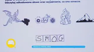 Szkoły w walce ze smogiem. "Świadomość dzieci jest dla nas rzeczą najważniejszą"