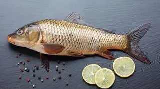 Świeży karp 