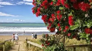 Nowa Zelandia, plaża