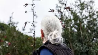 Tył głowy starszej kobieta o białych włosach, menopauza a miesiączka