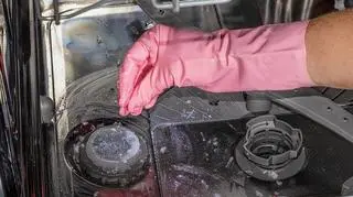 Iryna Dobytchina Getty Images.jpg